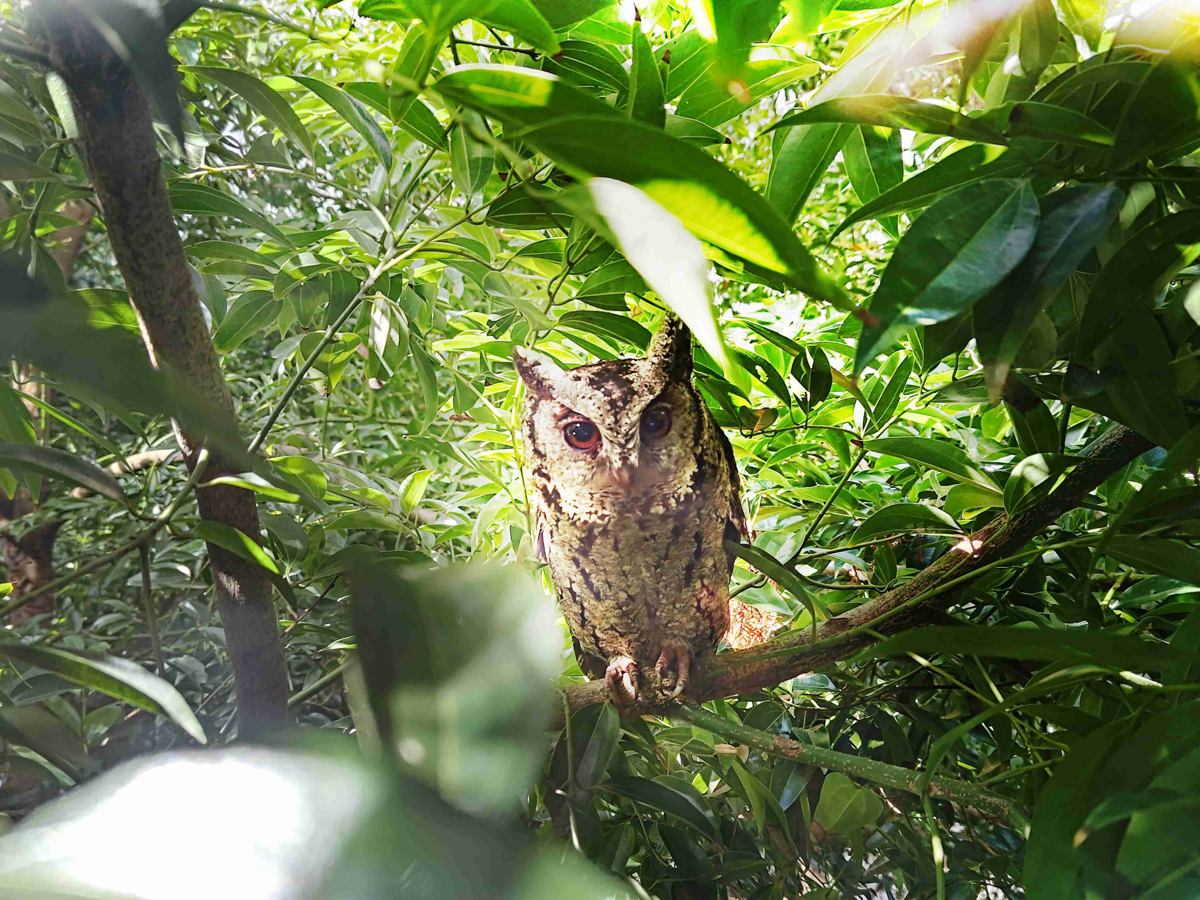 EBpay致力提倡净零绿生活，，，16年以来在全球各厂区植树逾百万棵，，，，造就各厂区树木蔚然成林，，，，犹如森林工厂，，，，成为许多生物的栖息地